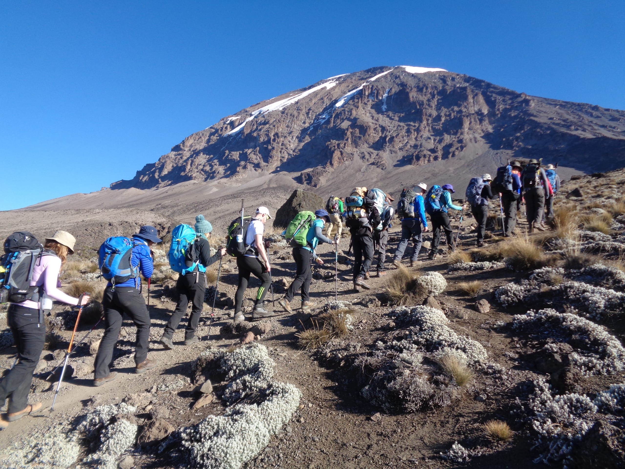 Climbers on Mount Kilimanjaro