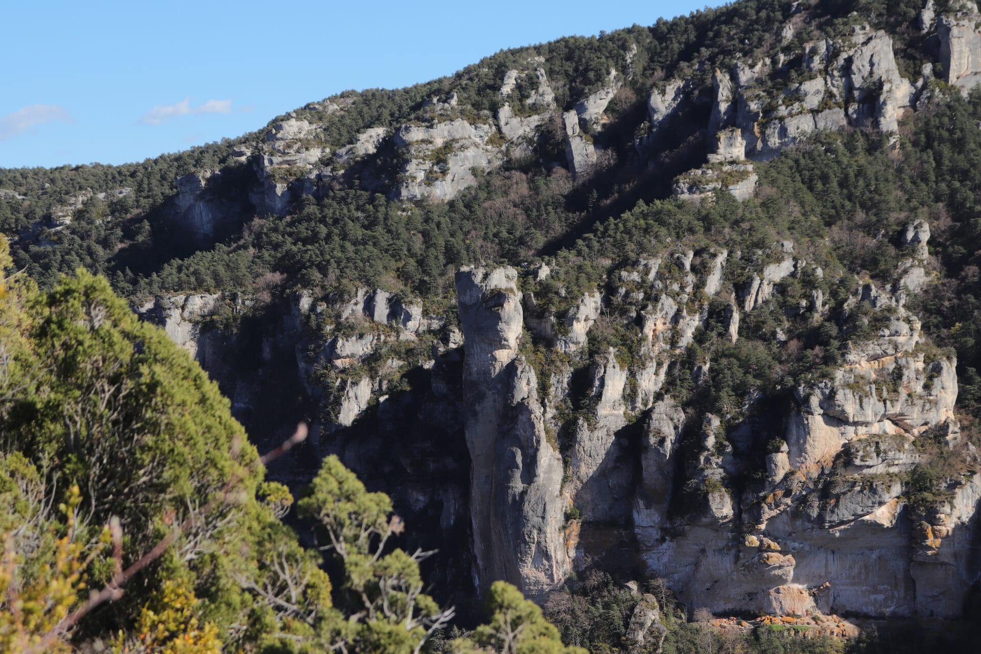 Gorges du Tarn