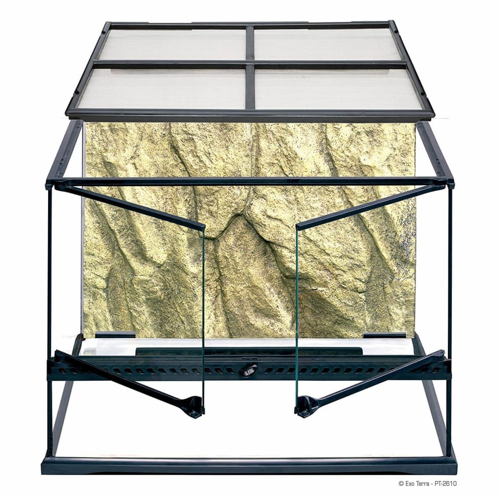 ヤモリを飼う 種類 飼い方 餌 寿命 何でも知りたい