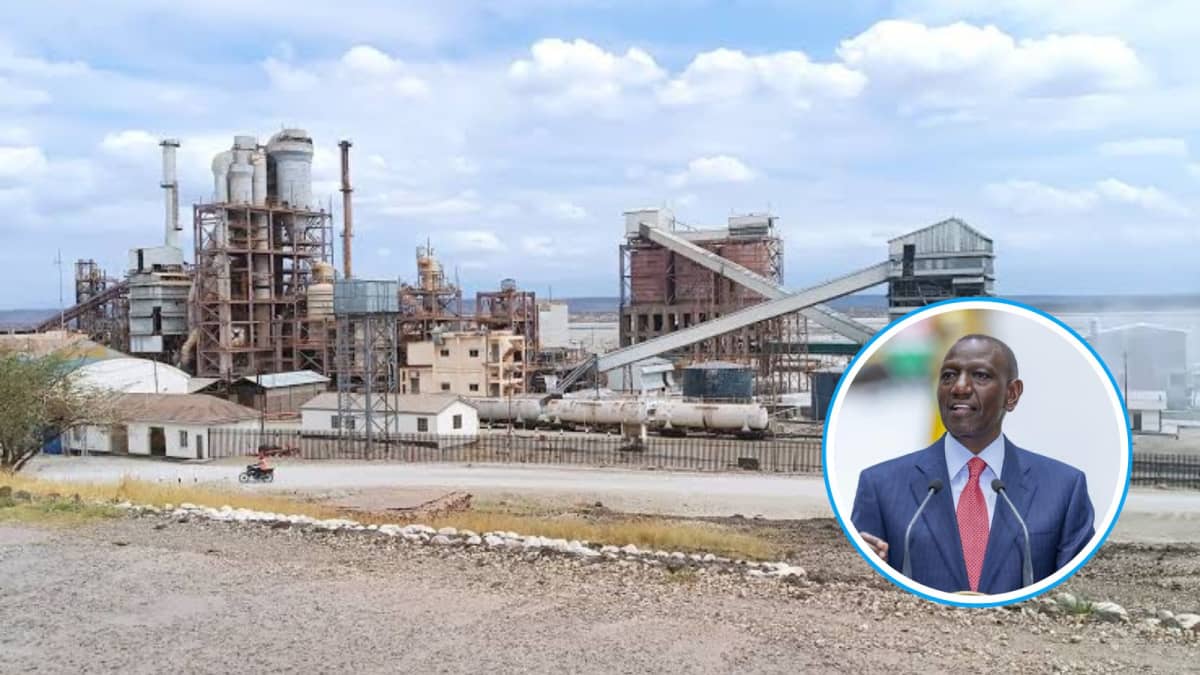 Tata Chemicals Company, located in Magadi, Kajiado County and an insert of President William Ruto. /PCS.TATA CHEMICALS