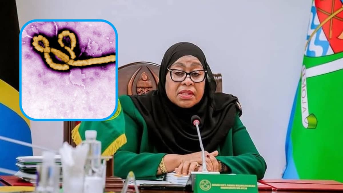 Tanzania President Samia Suluhu Hassan during a past address and an insert of the Ebola virus. /CDC.GOV