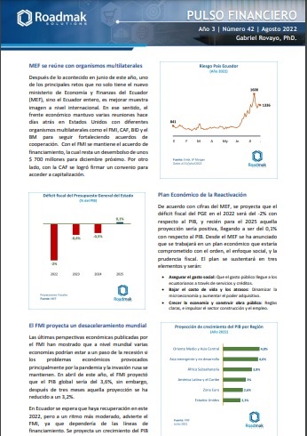 Pulso Financiero para Roadmak Solutions