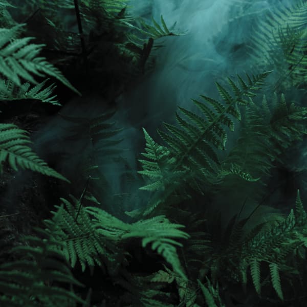 Nachhaltige Reinigungslösungen — Konzentrate und Dosiersysteme von RHT Happle