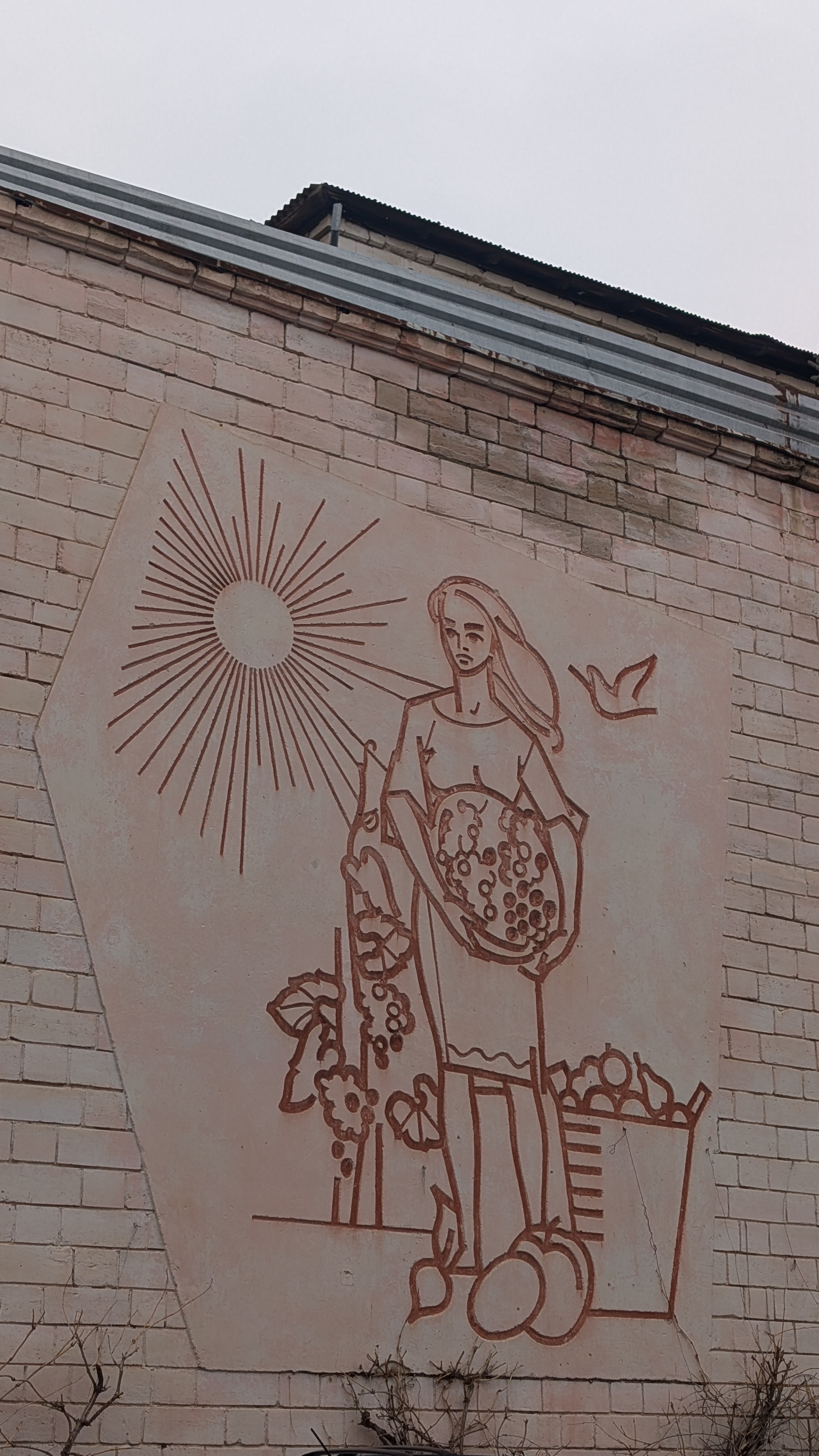 Sgraffito - Harvest - Camenca