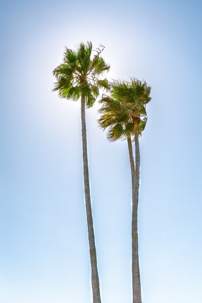 Description of my image