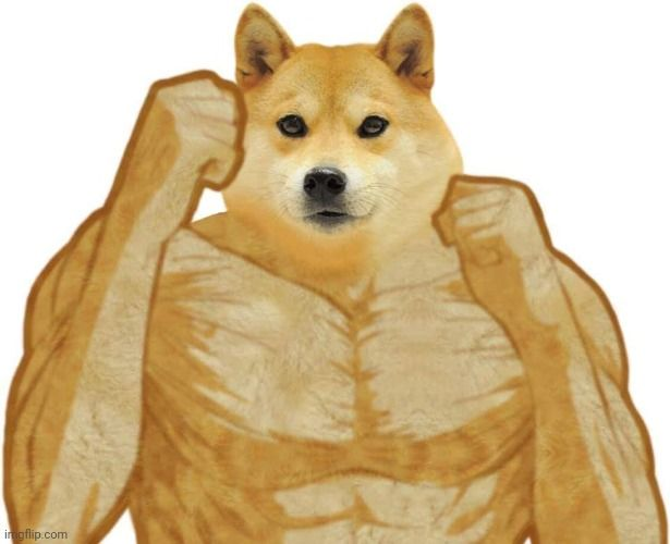 doge-body