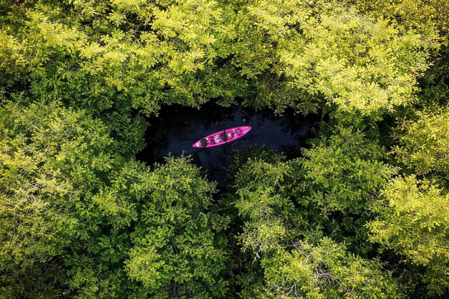Kayaking Rekawa 1