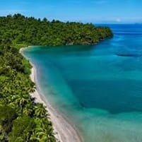 Wild Beach 2