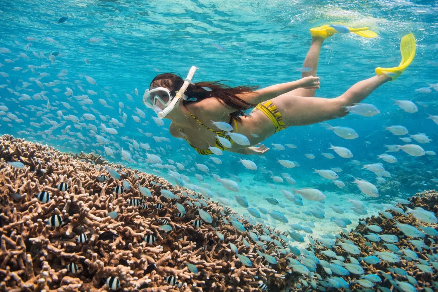 Snorkeling 2