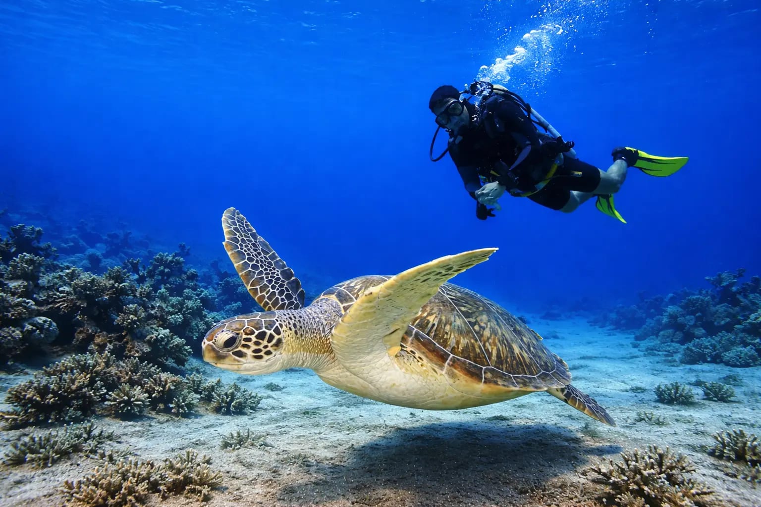 Snorkeling 3