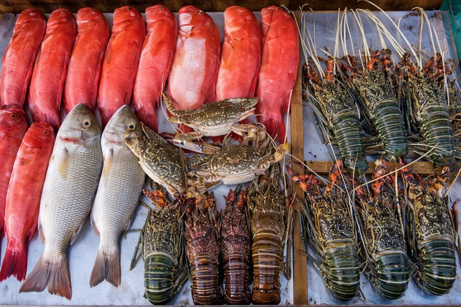Seafood Main