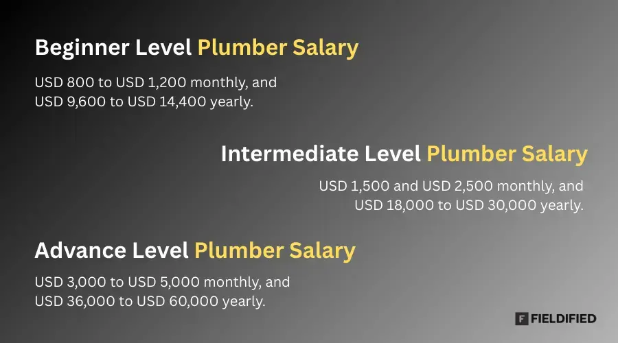 Plumber Experience Level Salaries