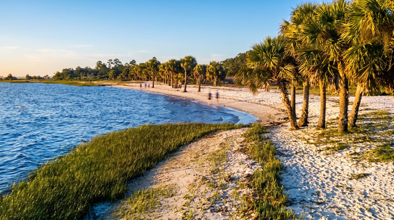 Nature Coast - Photo 1