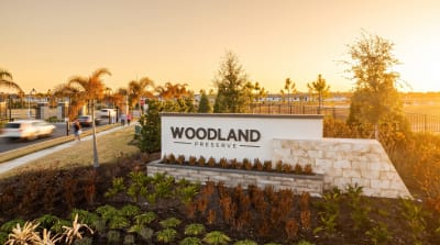 Woodland Preserve