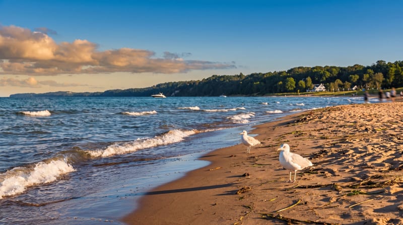 West Michigan / Grand Rapids photo