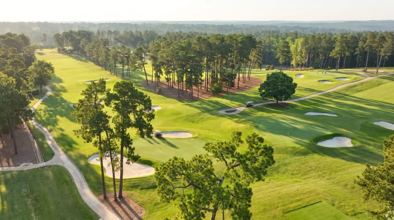 Augusta / Northeast GA photo