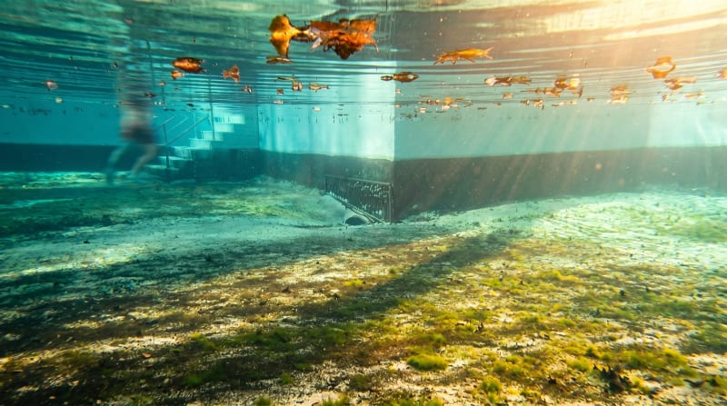 The Springs – Photo 1