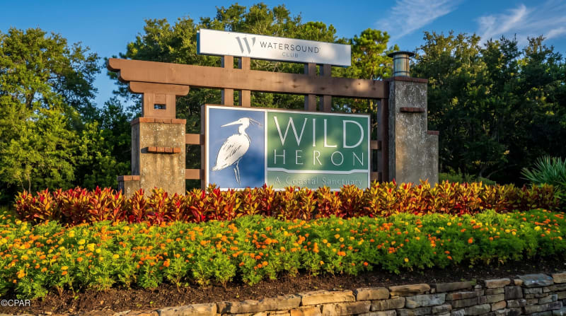 Wild Heron – Photo 1