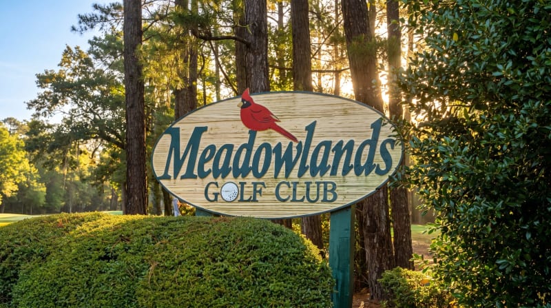 Meadowlands Golf Club – Photo 1