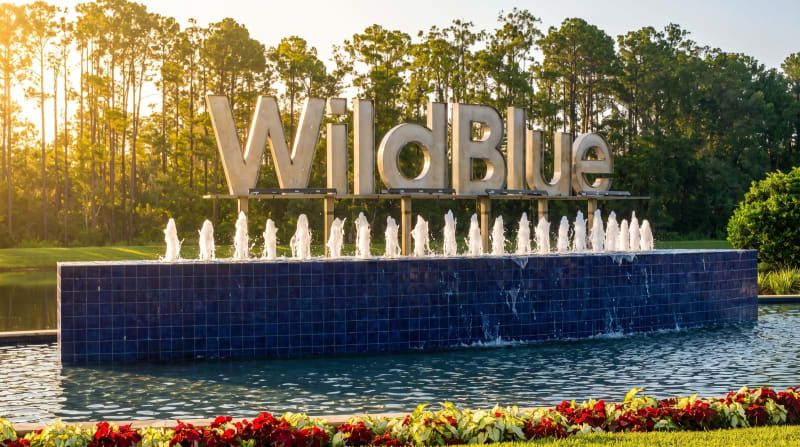 Wildblue – Photo 1