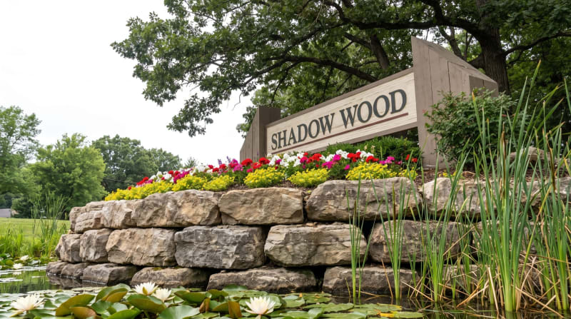 Shadow Wood – Photo 1