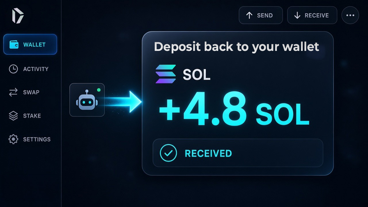 SOL returns to your deposit wallet.