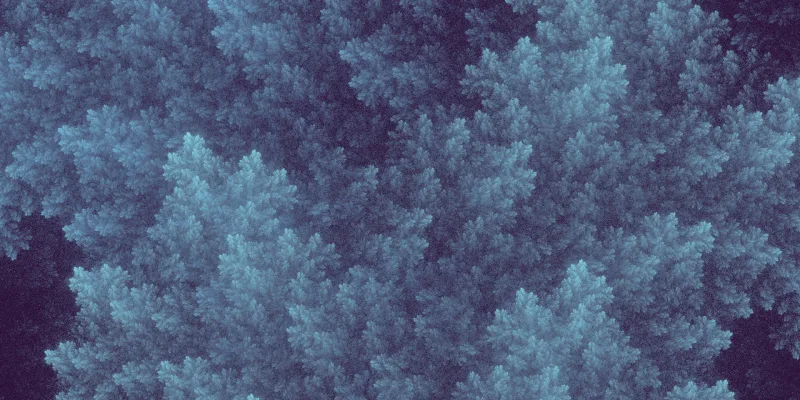 Verästelung — Flamme fractal art
