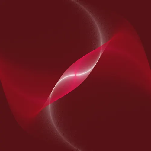 Elegant Entanglement — Flame fractal art