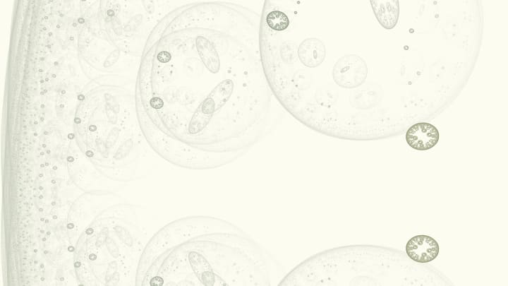 Micro Garden — fractal art by Jema