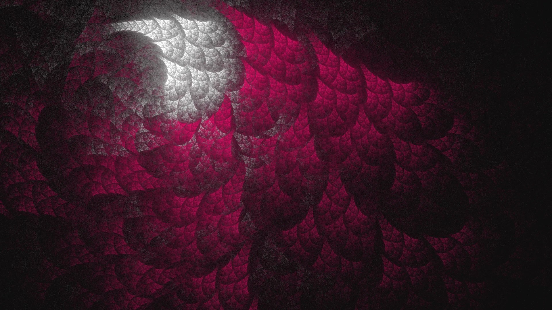 Wing Window — Flame fractal art by Jema