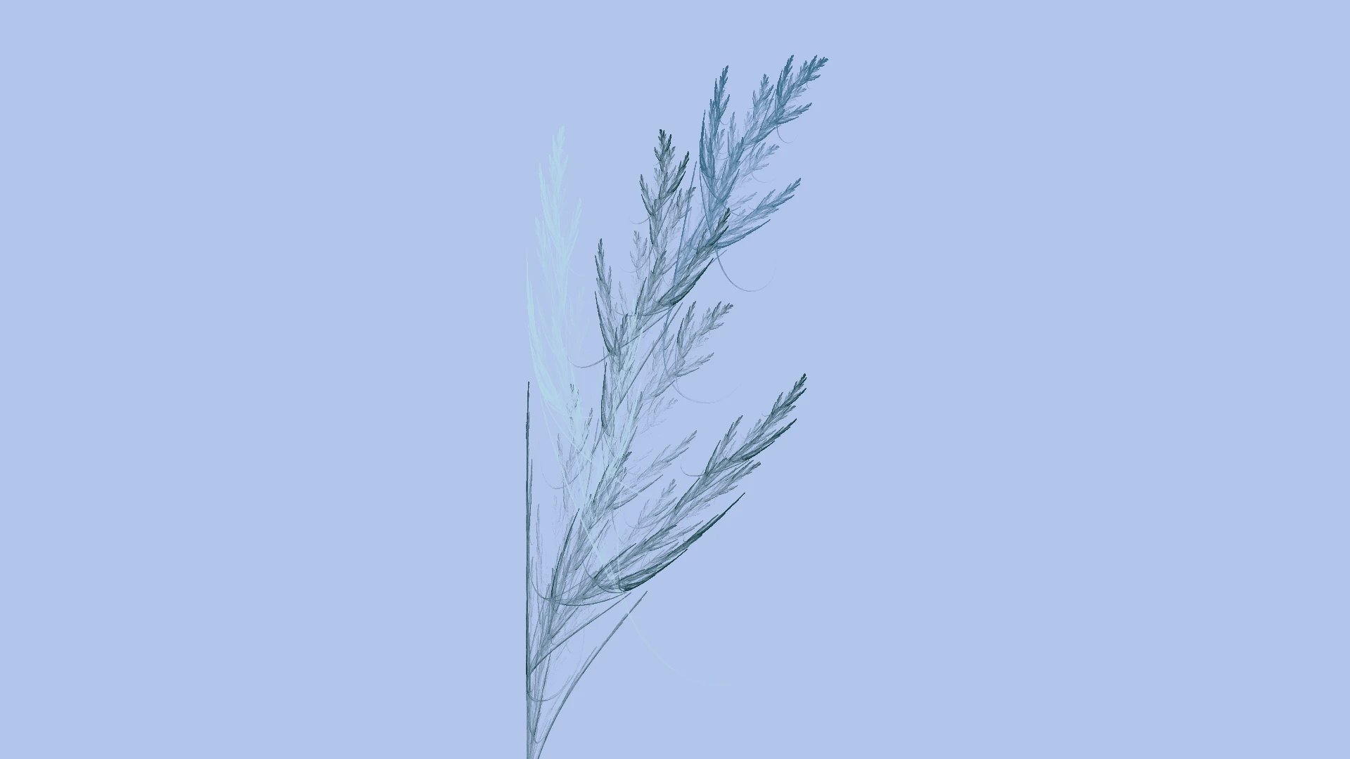 Feather Grass — Flame fractal art by Jema