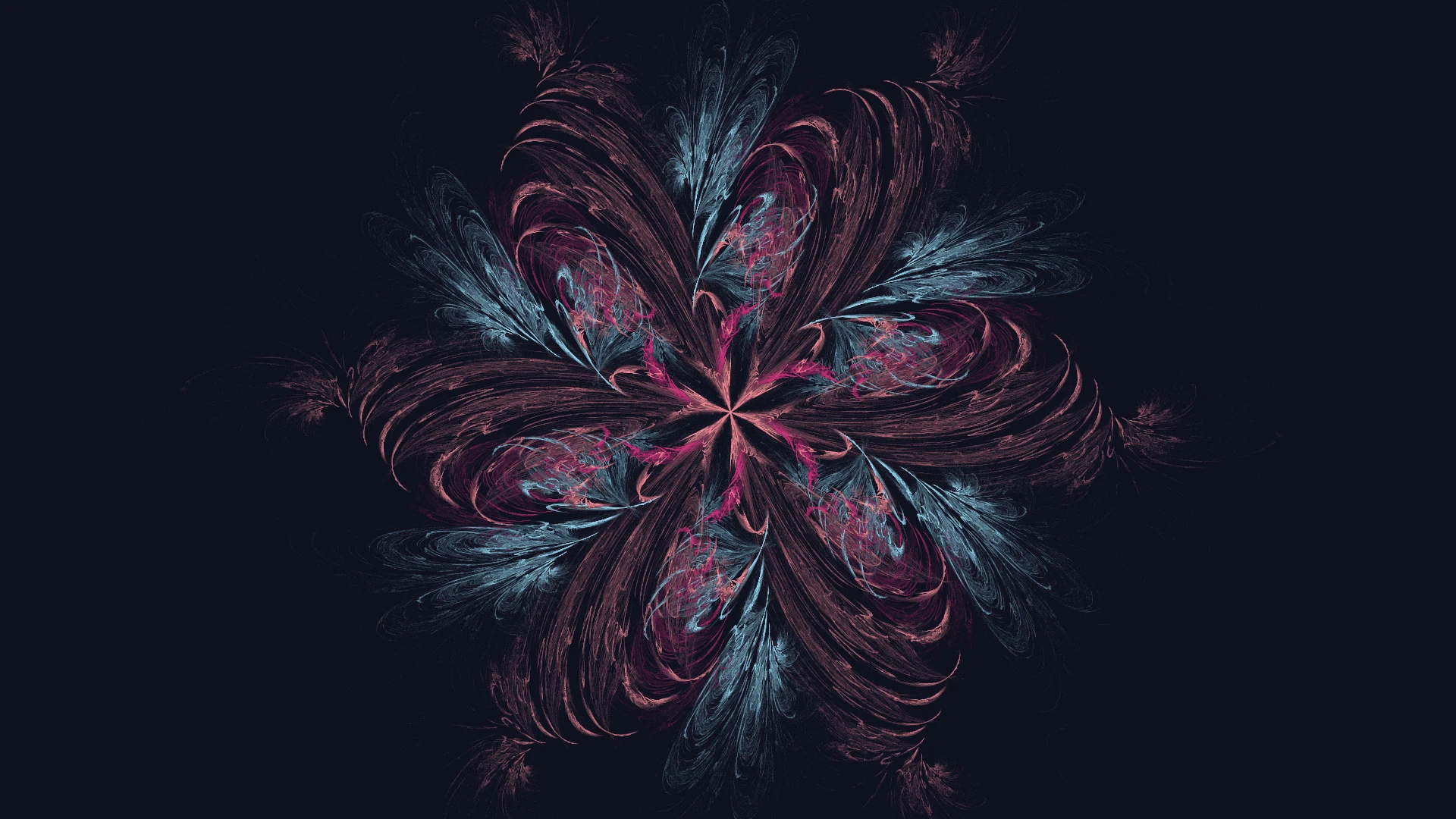 Rose Thorn Star — 火焰分形艺术 由 Jema