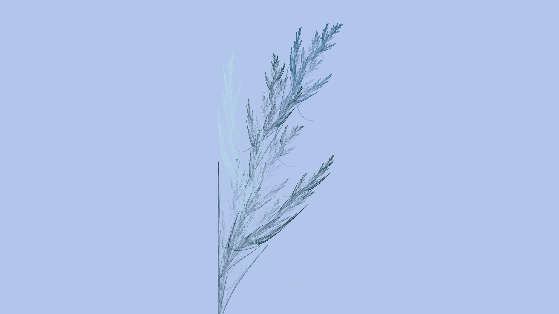 Feather Grass — Art fractal Flame par Jema