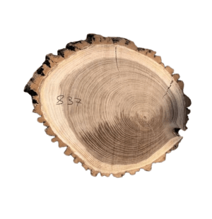 Слеб капового клена