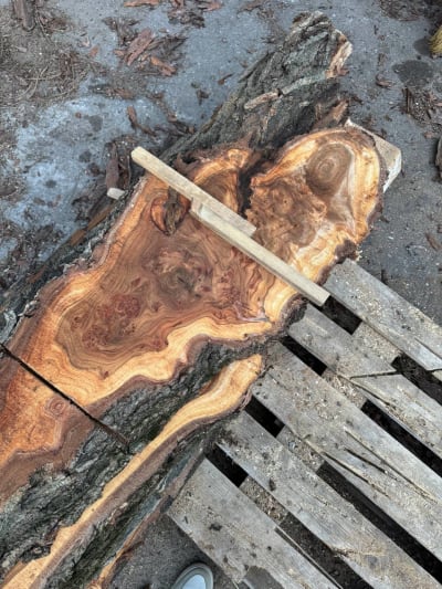 Слеб маслина