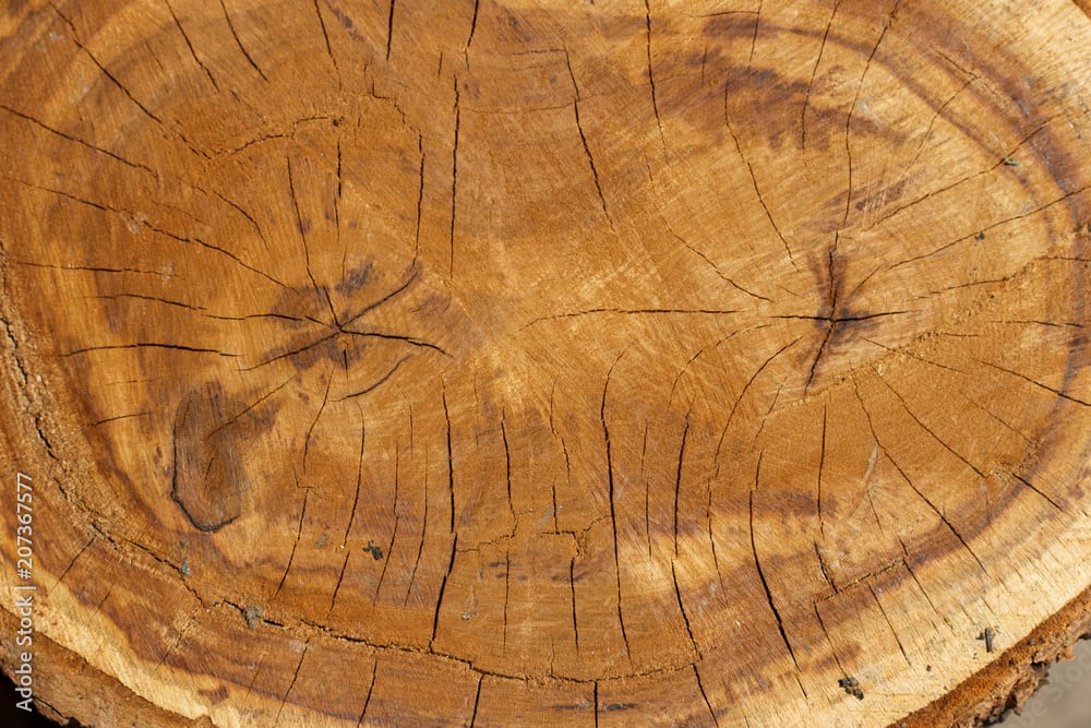 Слеб абрикоса: Натуральний матеріал для вашого інтер'єру