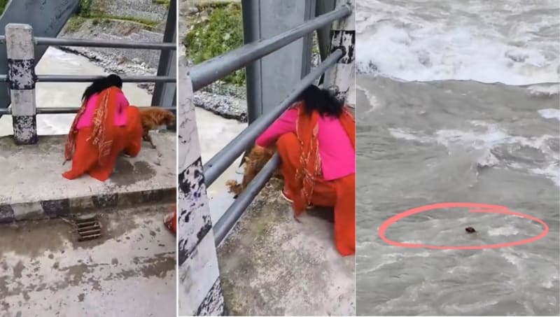 Nepal: Viral Video Shows Woman Throwing Dog Into Seti River in Bajhang, Police Launch Search