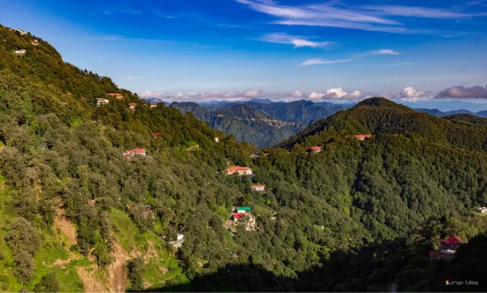 Uttarakhand HC Bans Tree Felling in Mussoorie Over Illegal Cutting
