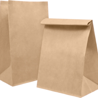 Kraft Paper Bags 20x30cm (100 pcs)