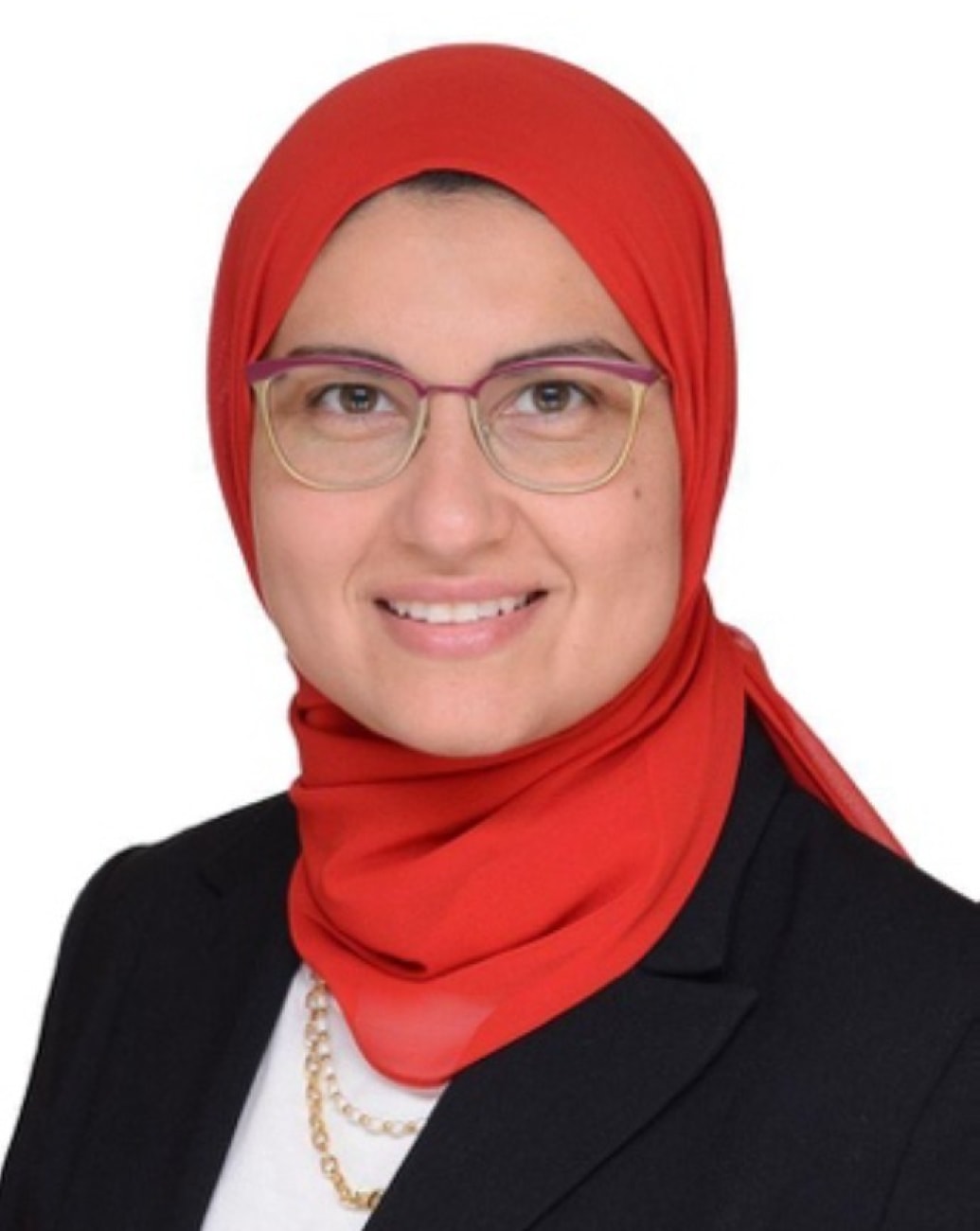 Dina Ezzeldin