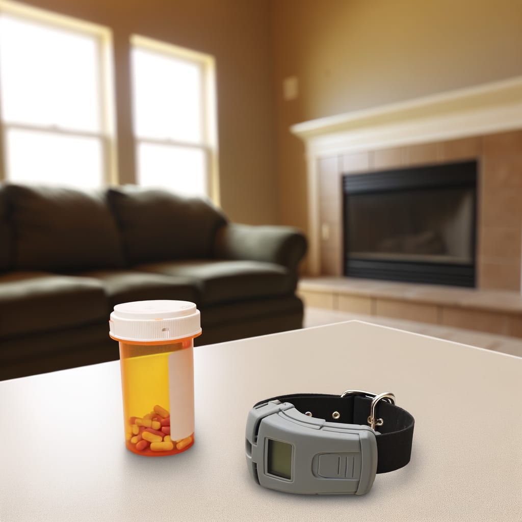 Bolsonaro's 'Medication-Induced Paranoia' Leads to Ankle Monitor Tampering