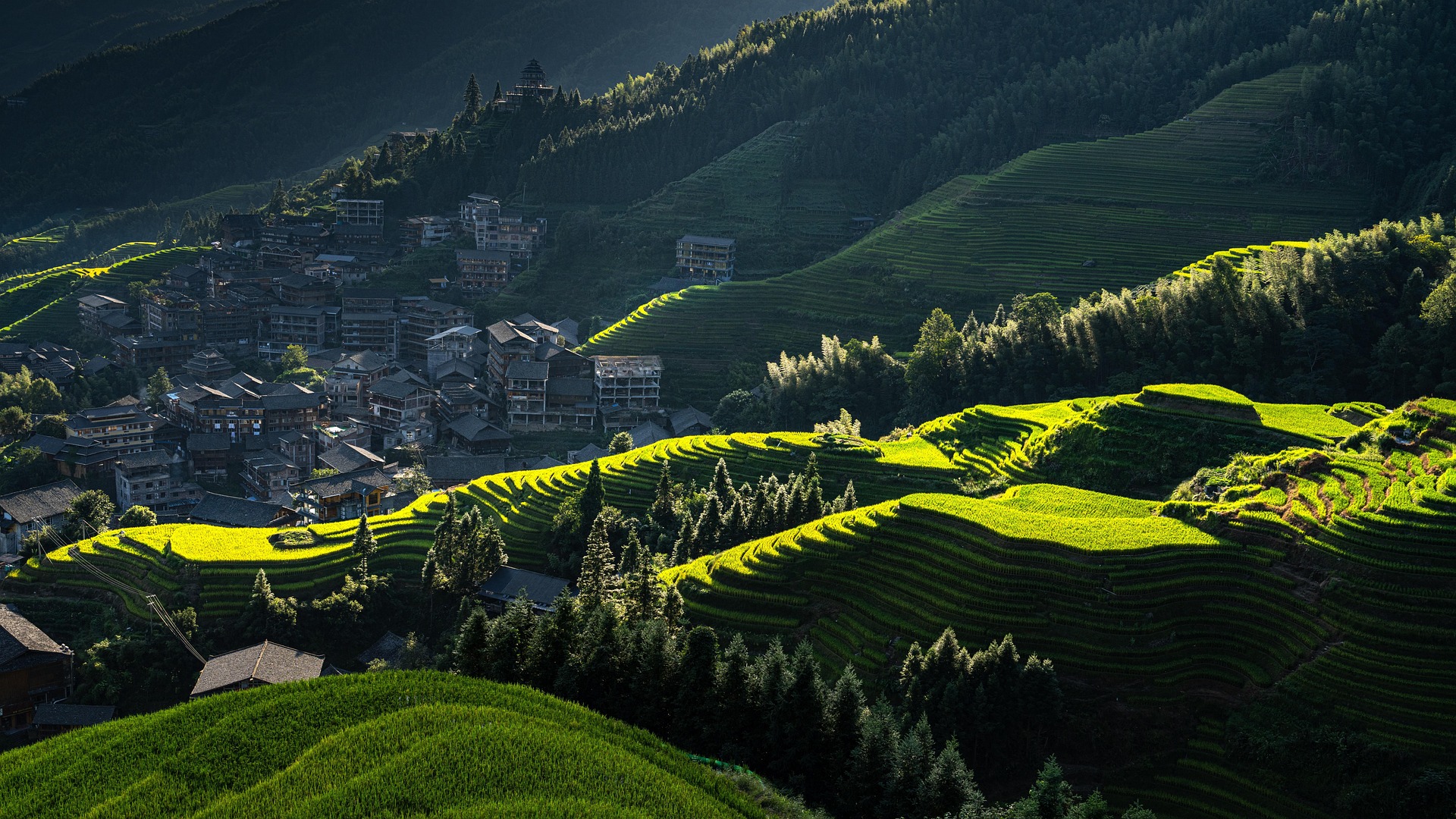 Longji rice terraces