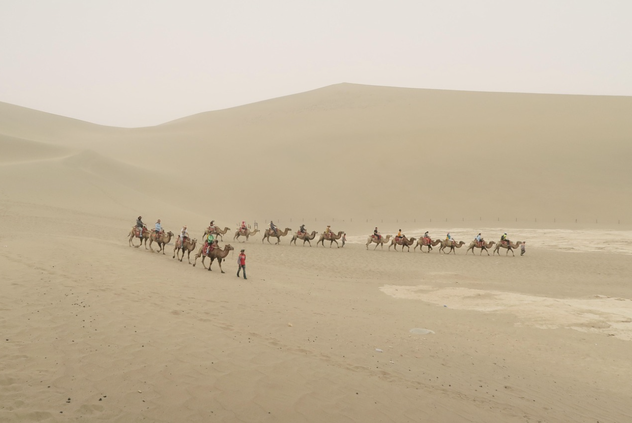 Camel ride at sunset