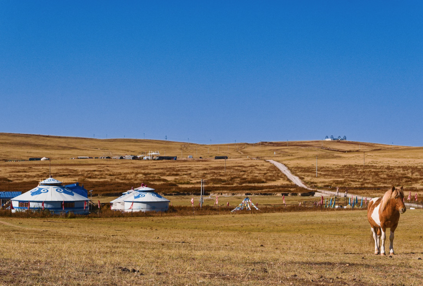 Ordos Grassland — horses & yurts