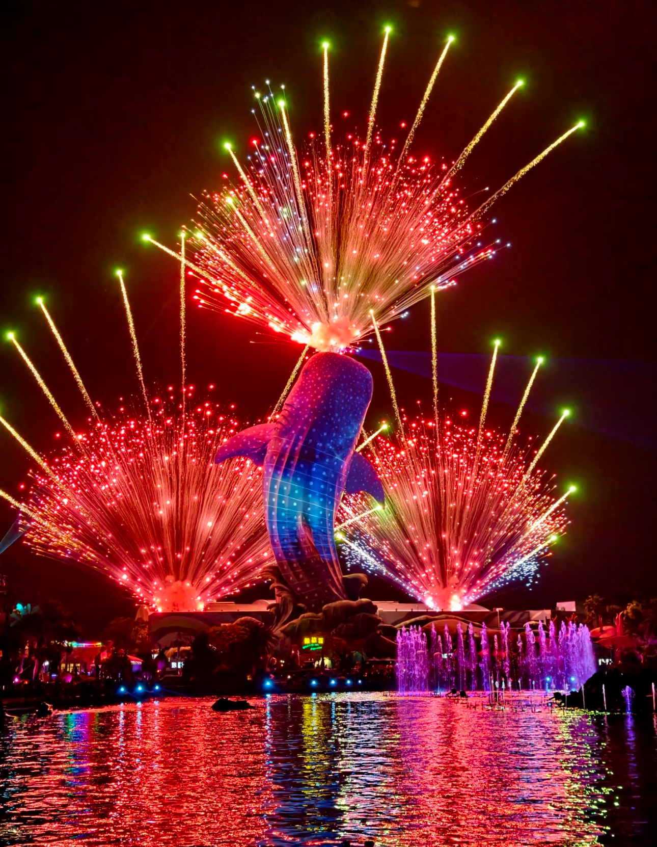Night fountain, drone & fireworks show