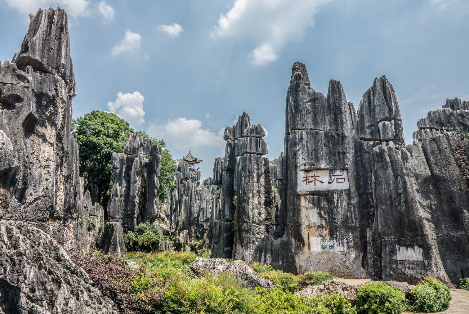 Stone Forest limestone pillars