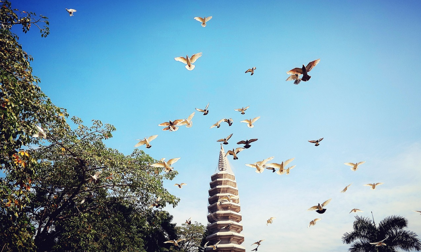 Nanputuo Temple overlooking the sea