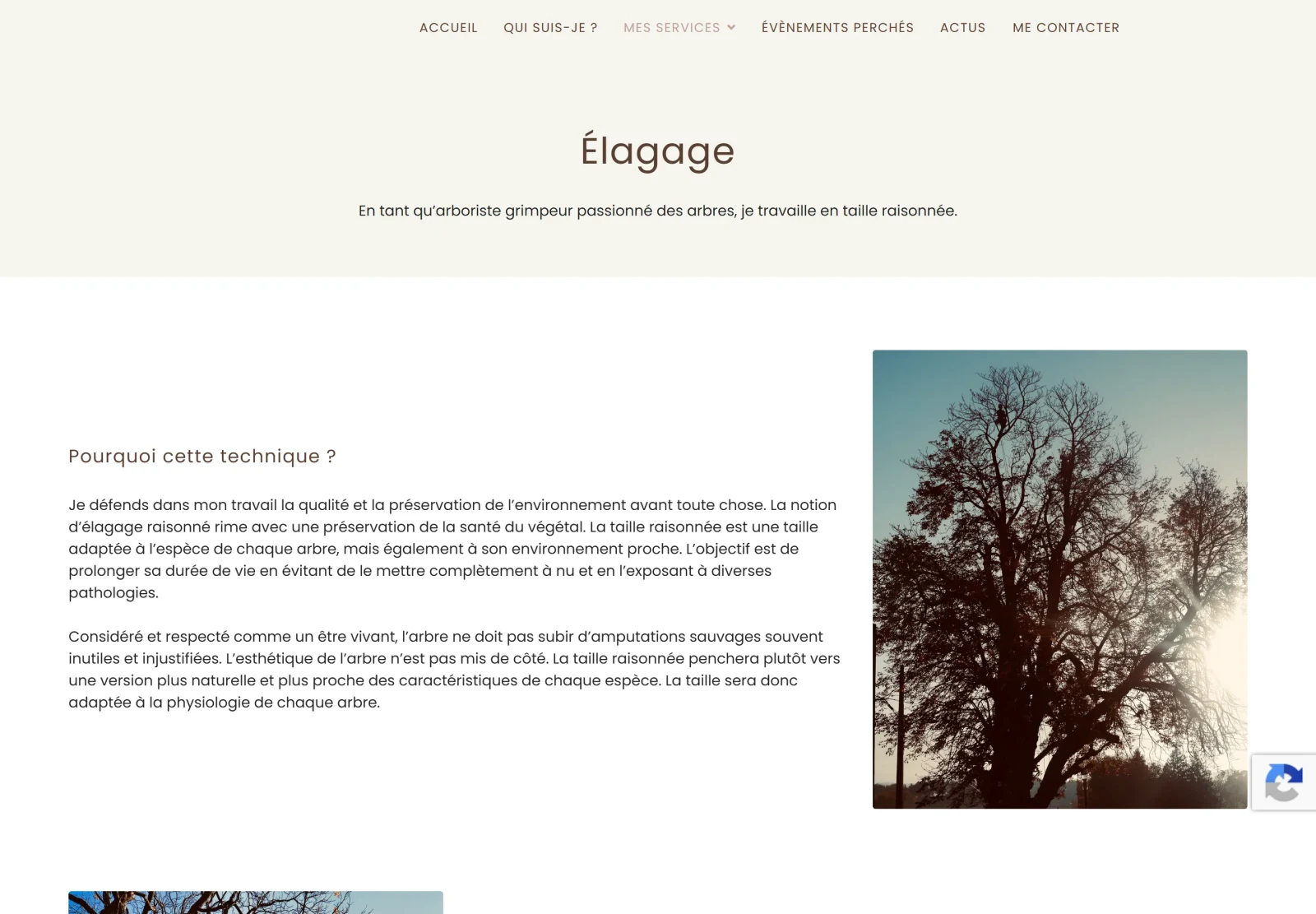 Ancienne page Élagage : titre centré et deux colonnes de texte génériques
