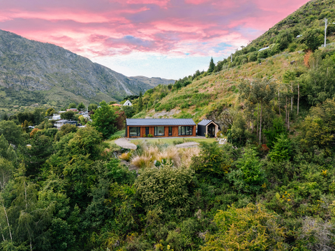 Pōhutukawa thumbnail 3