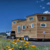 OTSEGO thumbnail 2